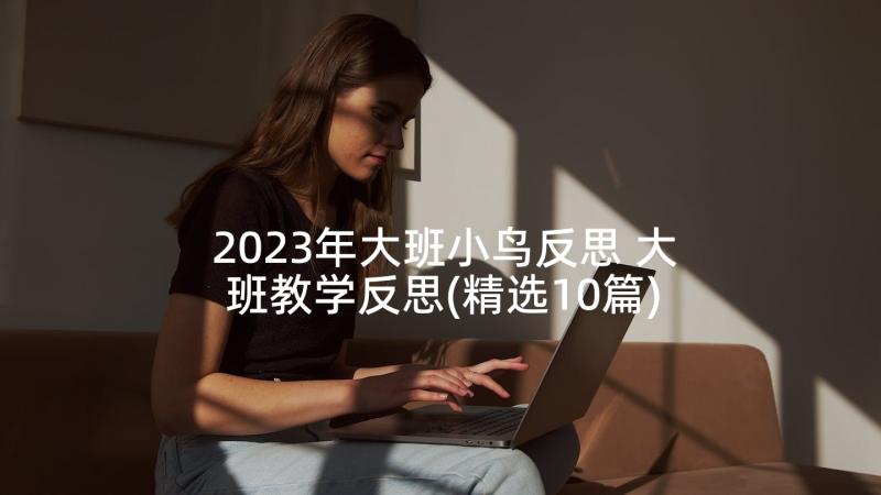 2023年大班小鸟反思 大班教学反思(精选10篇)