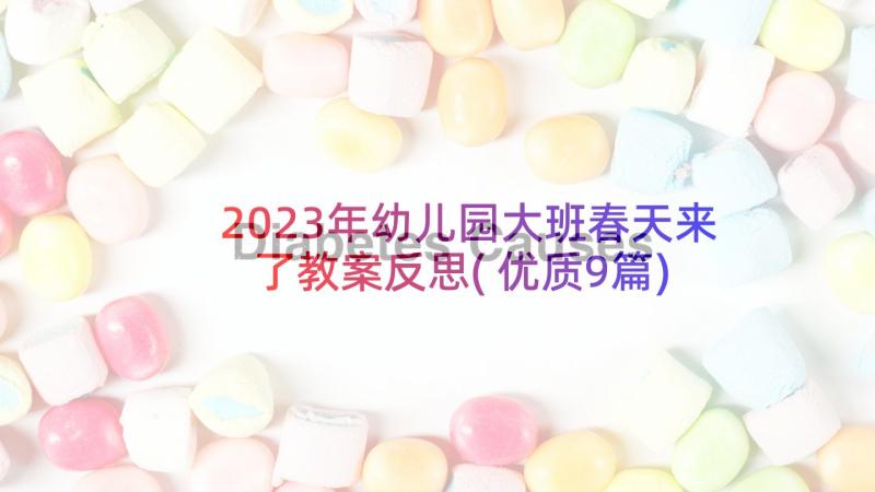 2023年幼儿园大班春天来了教案反思(优质9篇)