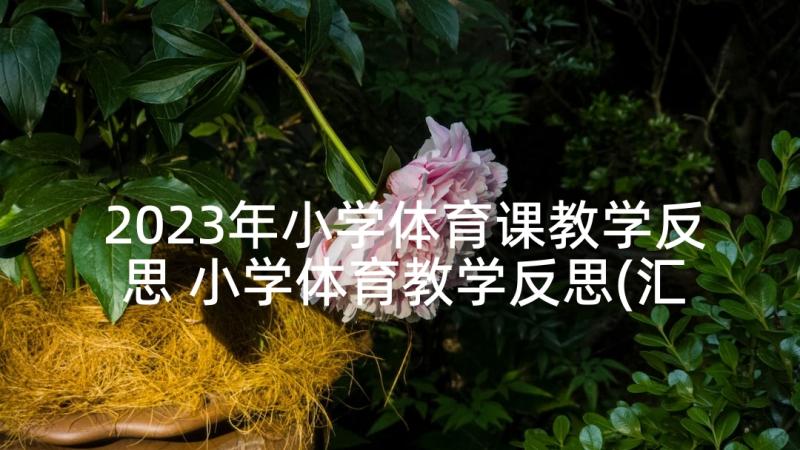 2023年小学体育课教学反思 小学体育教学反思(汇总7篇)