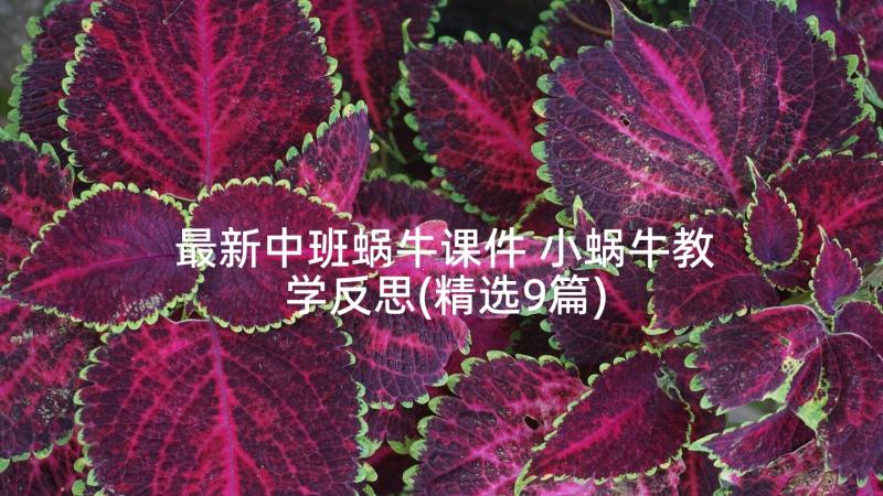 最新中班蜗牛课件 小蜗牛教学反思(精选9篇)