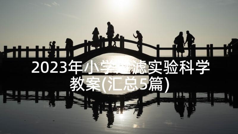 2023年小学过滤实验科学教案(汇总5篇)