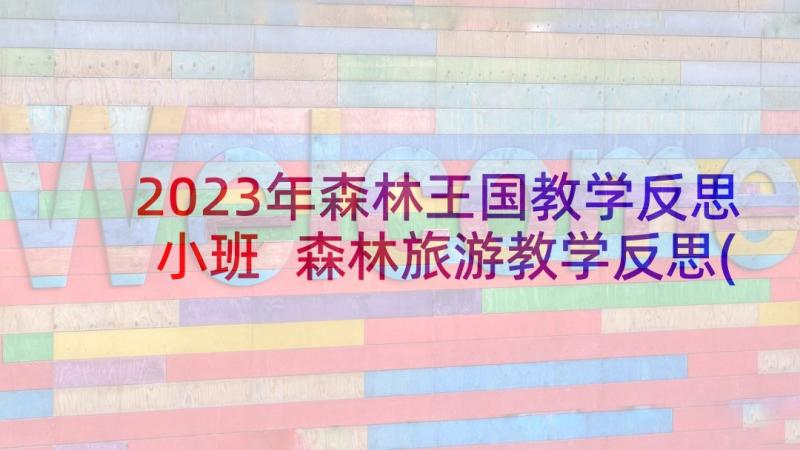 2023年森林王国教学反思小班 森林旅游教学反思(通用9篇)