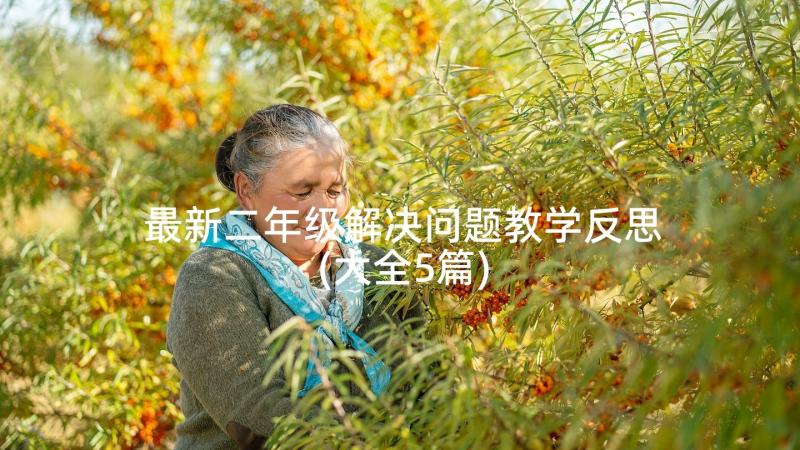 最新二年级解决问题教学反思(大全5篇)