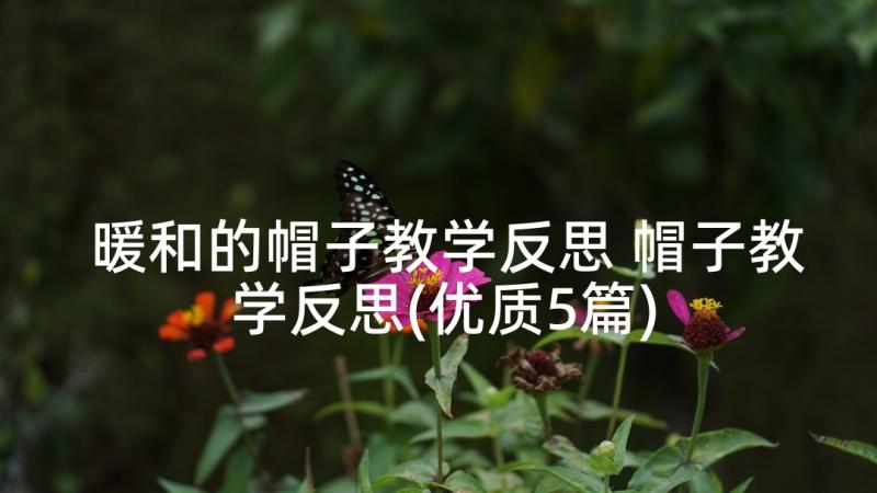 暖和的帽子教学反思 帽子教学反思(优质5篇)