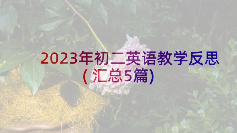 2023年初二英语教学反思(汇总5篇)