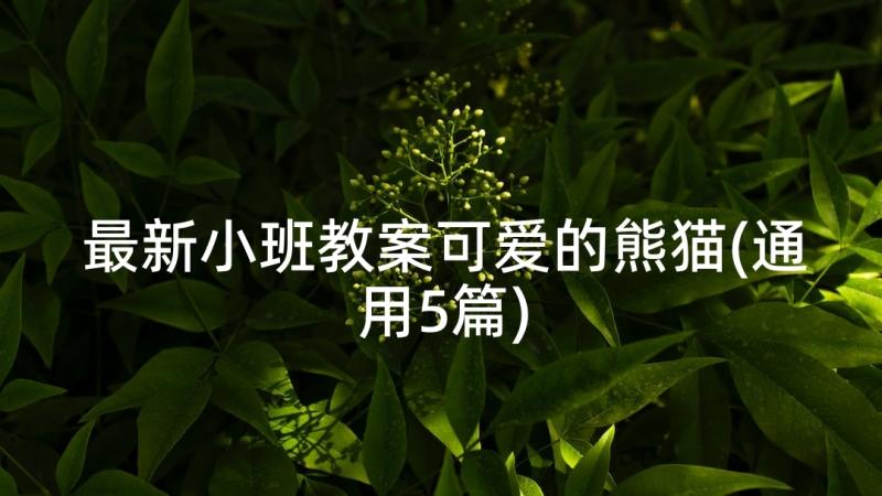 最新小班教案可爱的熊猫(通用5篇)