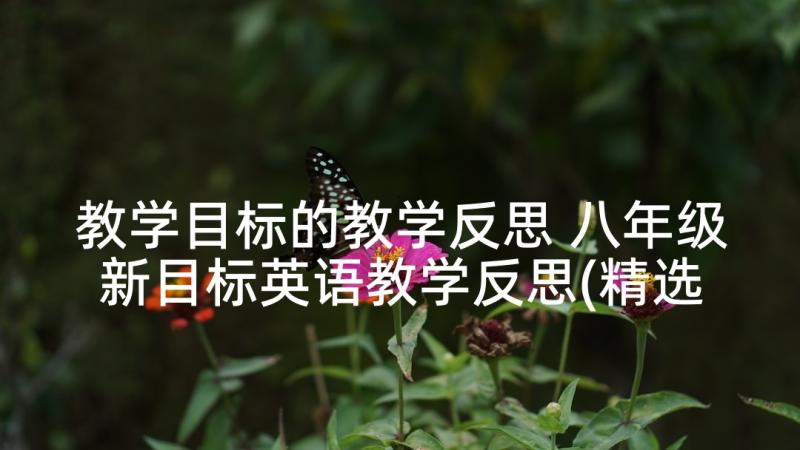 教学目标的教学反思 八年级新目标英语教学反思(精选5篇)