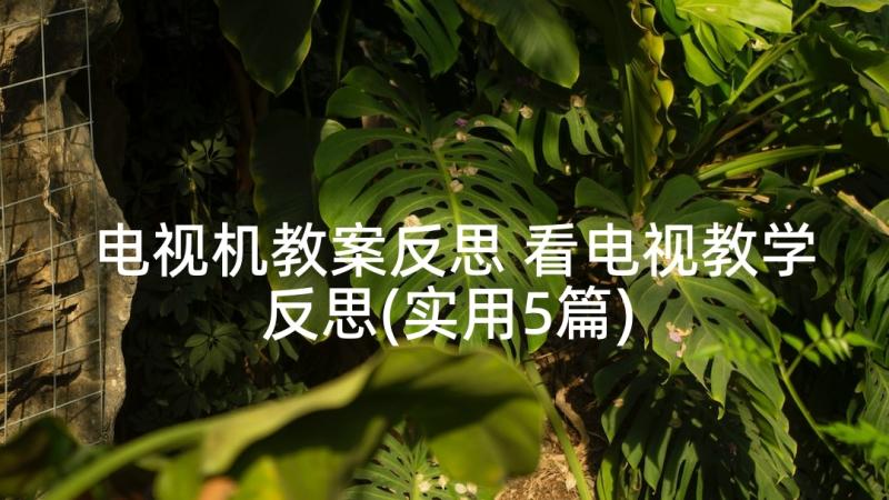 电视机教案反思 看电视教学反思(实用5篇)