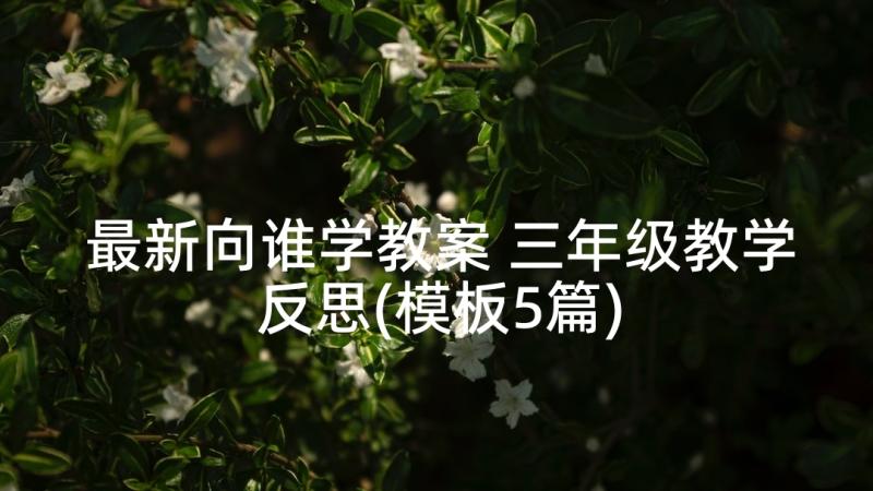 最新向谁学教案 三年级教学反思(模板5篇)