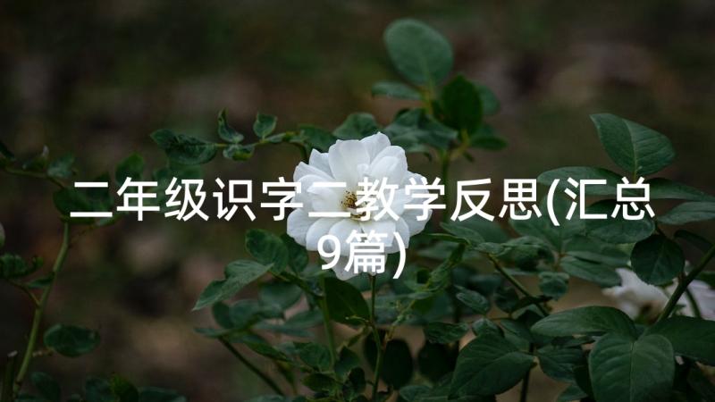 二年级识字二教学反思(汇总9篇)