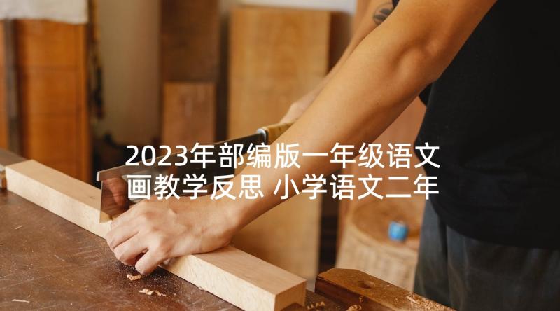 2023年部编版一年级语文画教学反思 小学语文二年级教学反思(实用5篇)