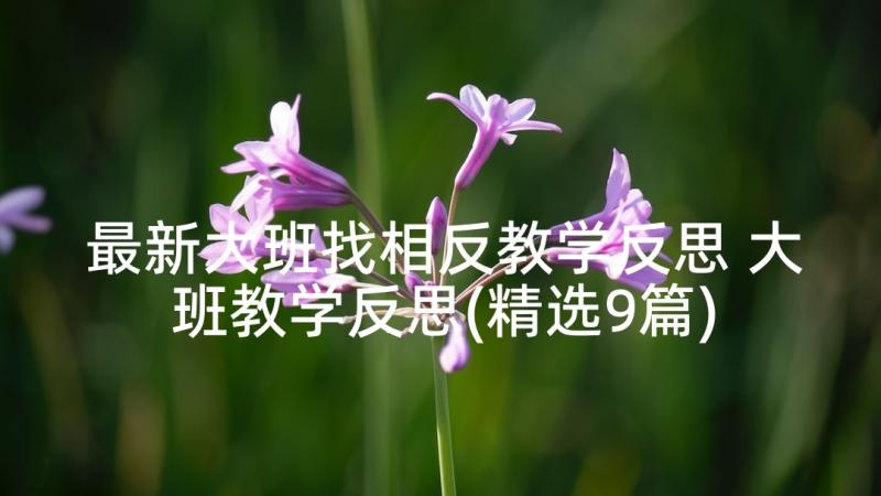 最新大班找相反教学反思 大班教学反思(精选9篇)