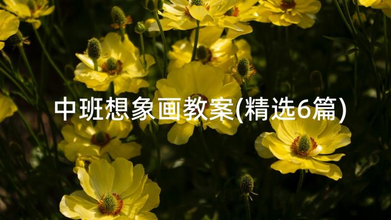 中班想象画教案(精选6篇)