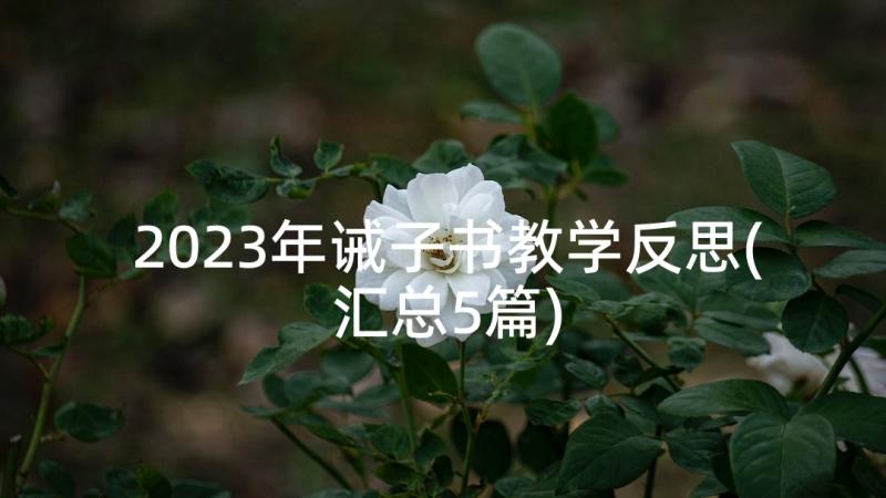 2023年诫子书教学反思(汇总5篇)