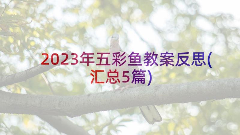 2023年五彩鱼教案反思(汇总5篇)