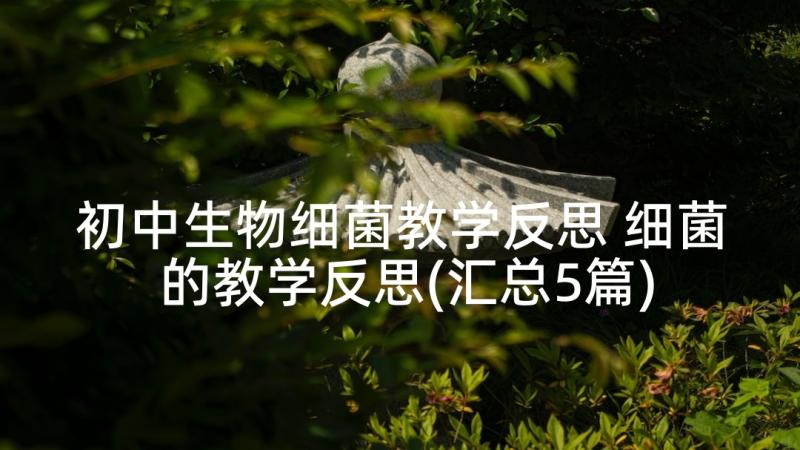 初中生物细菌教学反思 细菌的教学反思(汇总5篇)