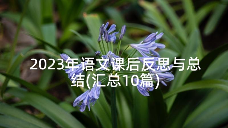 2023年语文课后反思与总结(汇总10篇)