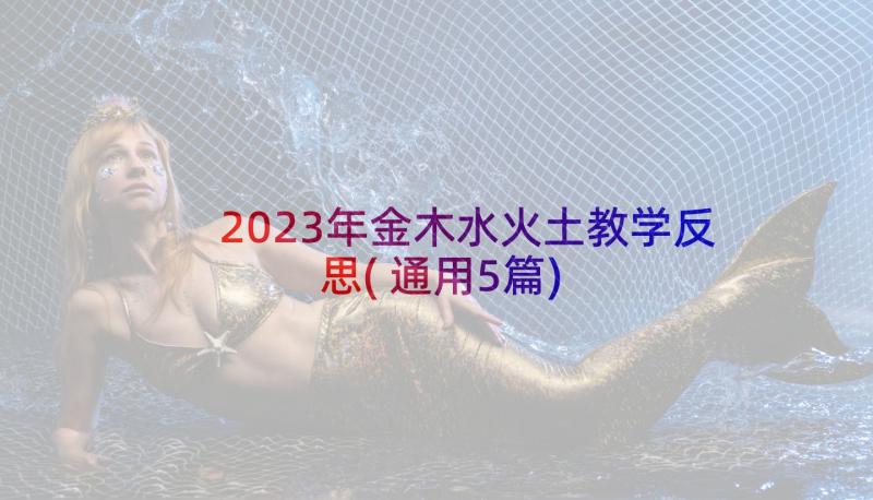 2023年金木水火土教学反思(通用5篇)