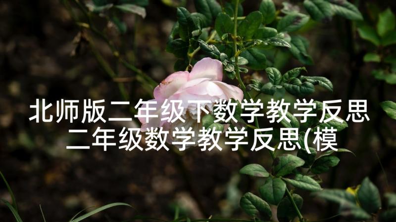 北师版二年级下数学教学反思 二年级数学教学反思(模板5篇)