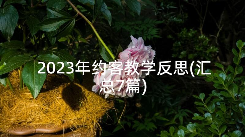 2023年约客教学反思(汇总7篇)