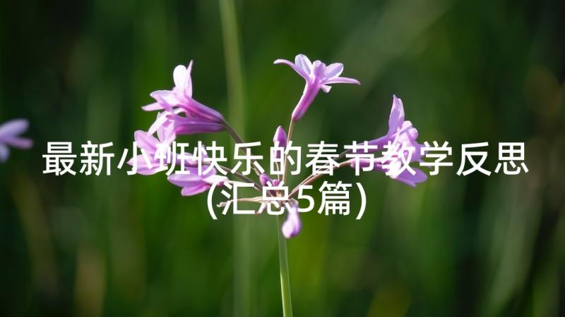 最新小班快乐的春节教学反思(汇总5篇)