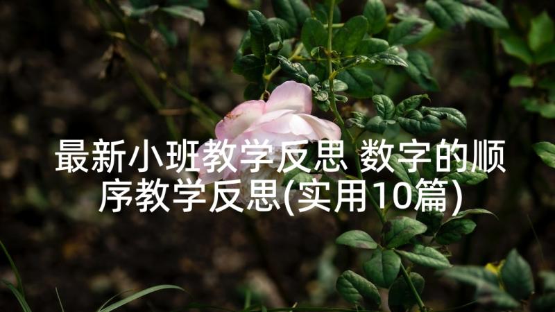 最新小班教学反思 数字的顺序教学反思(实用10篇)