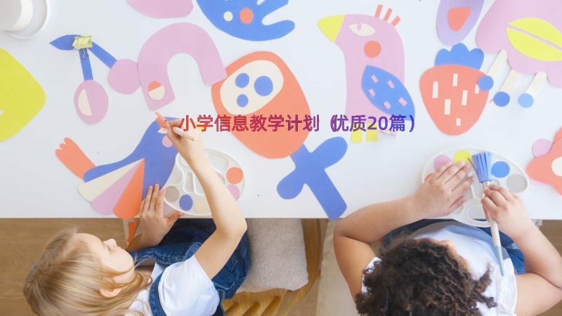 小学信息教学计划（优质20篇）