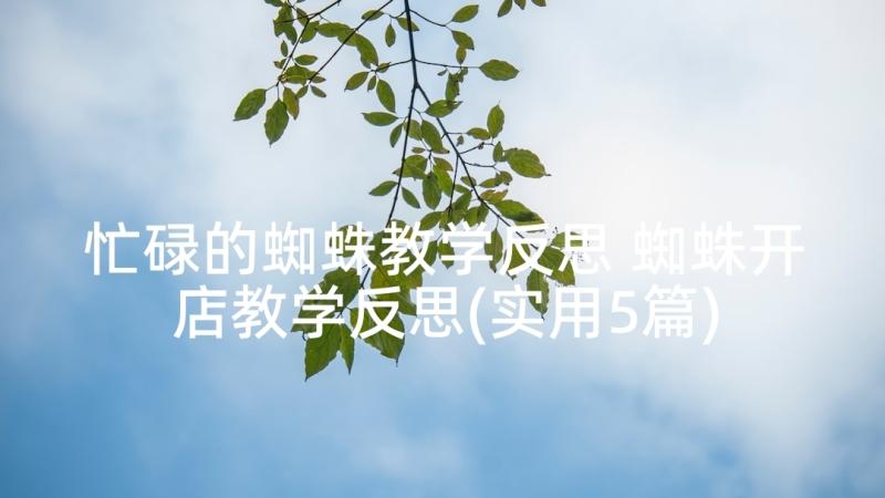 忙碌的蜘蛛教学反思 蜘蛛开店教学反思(实用5篇)