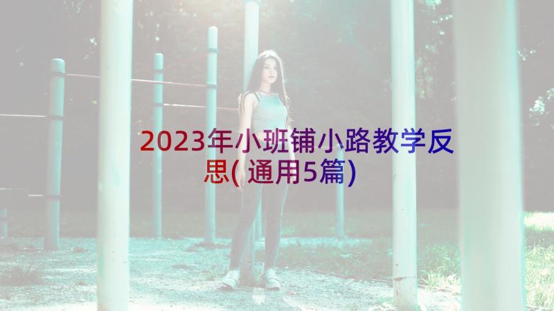 2023年小班铺小路教学反思(通用5篇)