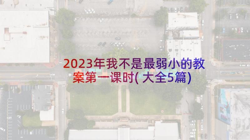 2023年我不是最弱小的教案第一课时(大全5篇)