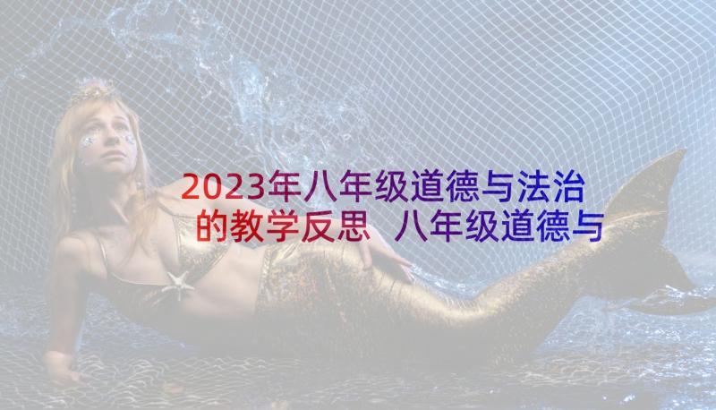 2023年八年级道德与法治的教学反思 八年级道德与法治教学反思(模板5篇)