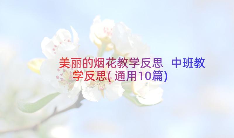 美丽的烟花教学反思 中班教学反思(通用10篇)