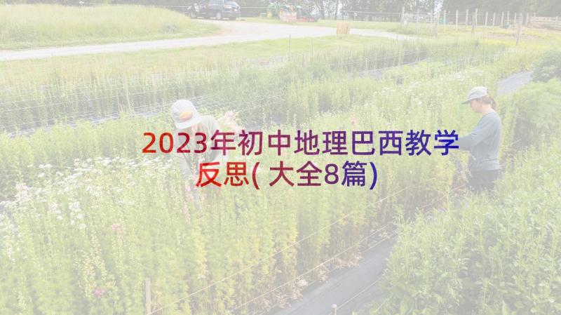 2023年初中地理巴西教学反思(大全8篇)