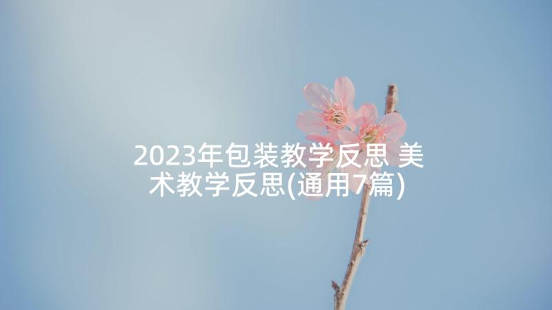 2023年包装教学反思 美术教学反思(通用7篇)