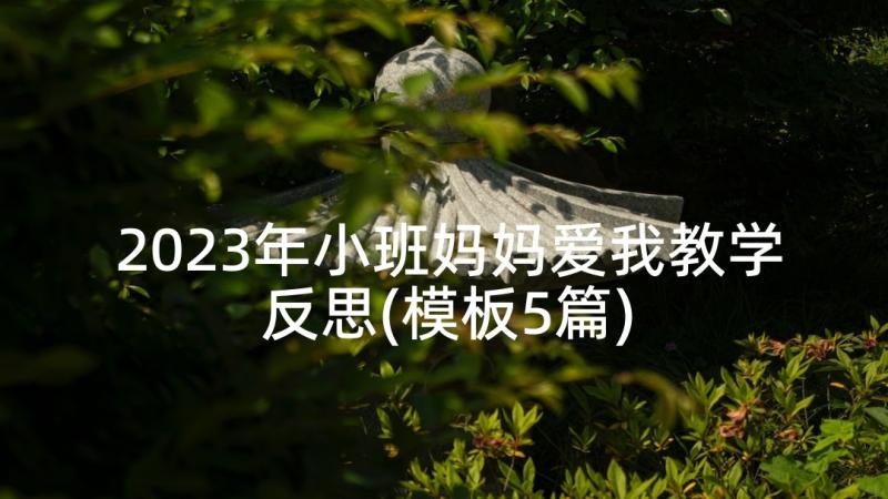 2023年小班妈妈爱我教学反思(模板5篇)