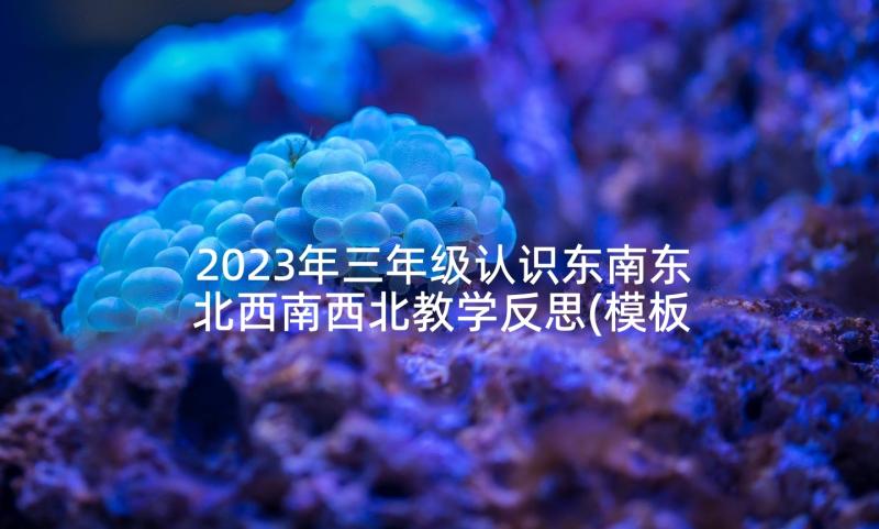 2023年三年级认识东南东北西南西北教学反思(模板6篇)