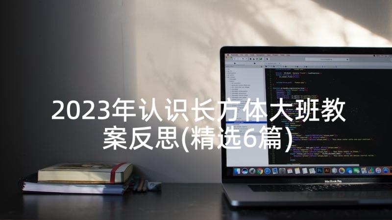 2023年认识长方体大班教案反思(精选6篇)