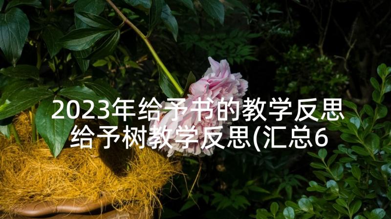 2023年给予书的教学反思 给予树教学反思(汇总6篇)