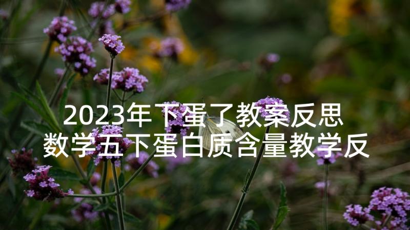 2023年下蛋了教案反思 数学五下蛋白质含量教学反思(汇总5篇)