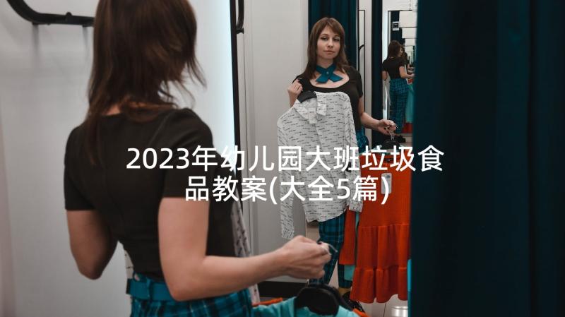 2023年幼儿园大班垃圾食品教案(大全5篇)