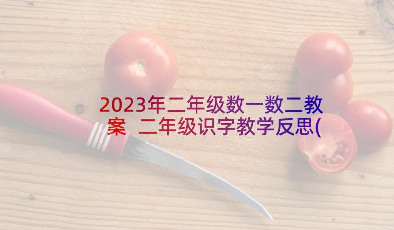 2023年二年级数一数二教案 二年级识字教学反思(大全5篇)