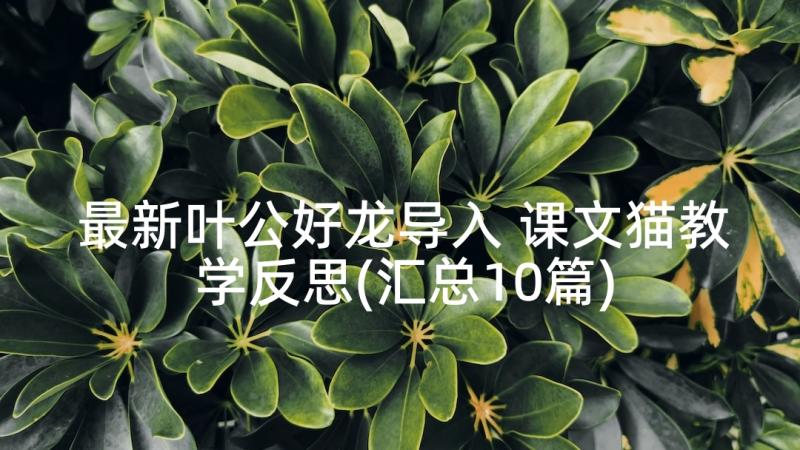 最新叶公好龙导入 课文猫教学反思(汇总10篇)