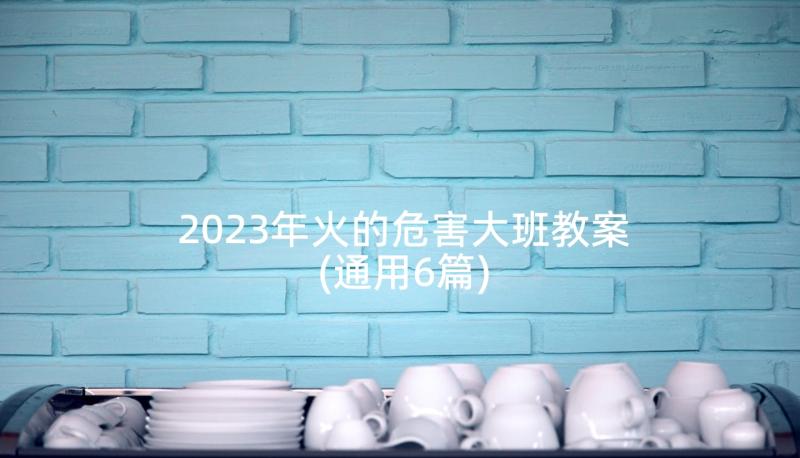 2023年火的危害大班教案(通用6篇)