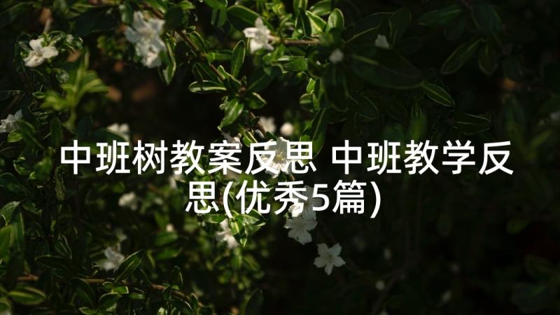 中班树教案反思 中班教学反思(优秀5篇)