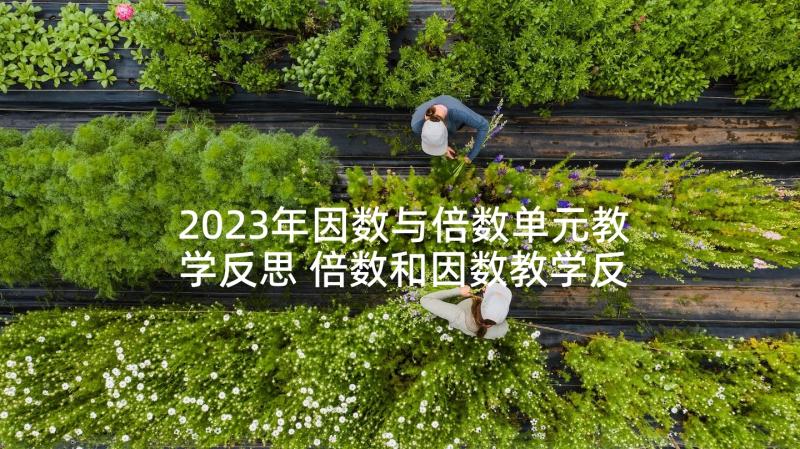 2023年因数与倍数单元教学反思 倍数和因数教学反思(大全5篇)