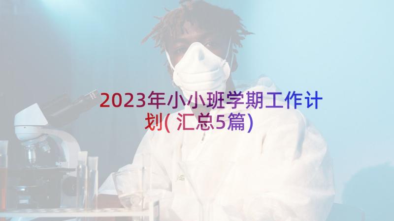 2023年小小班学期工作计划(汇总5篇)