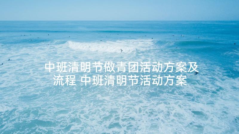 中班清明节做青团活动方案及流程 中班清明节活动方案(汇总5篇)