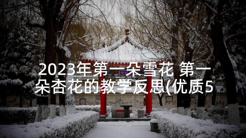 2023年第一朵雪花 第一朵杏花的教学反思(优质5篇)