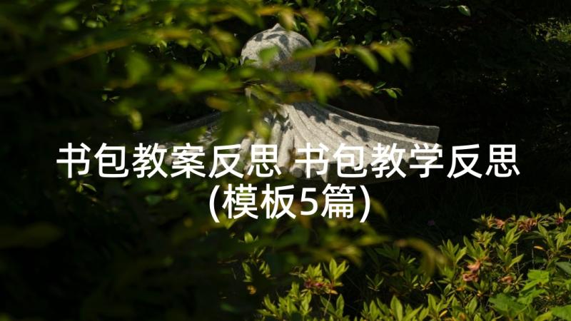 书包教案反思 书包教学反思(模板5篇)