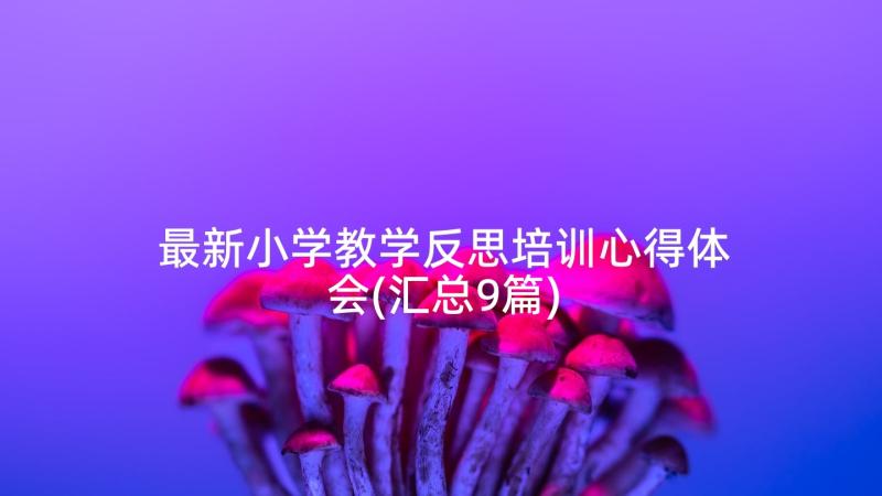 最新小学教学反思培训心得体会(汇总9篇)